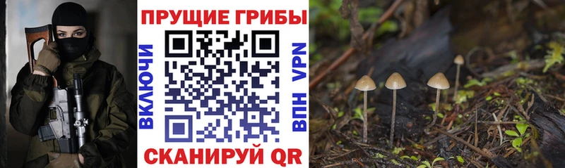 Купить закладки  Рославль  Галлюциногенные грибы ЛСД 